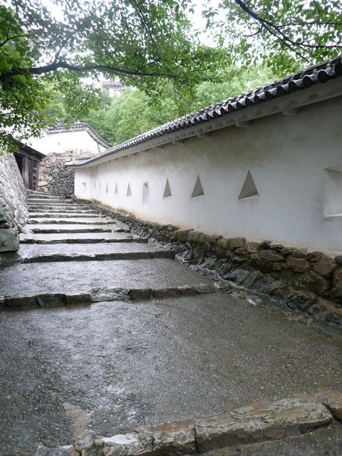 横 な ぶり の 雨