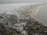 銭塘江の逆流